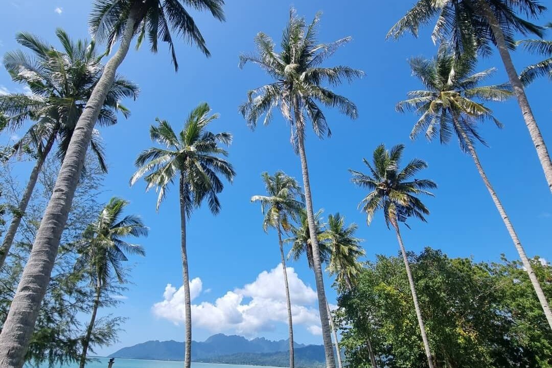 Photo of Outdoor in Kuala Teriang