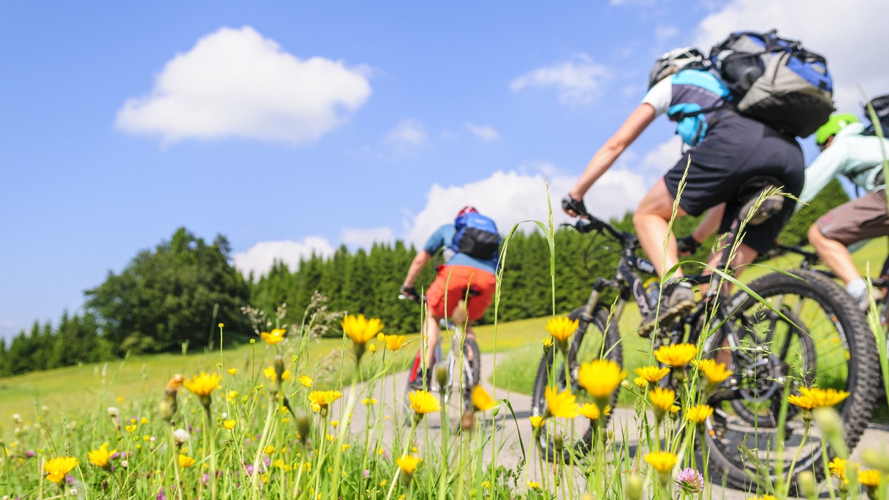 Photo of Outdoor in Menthon-Saint-Bernard