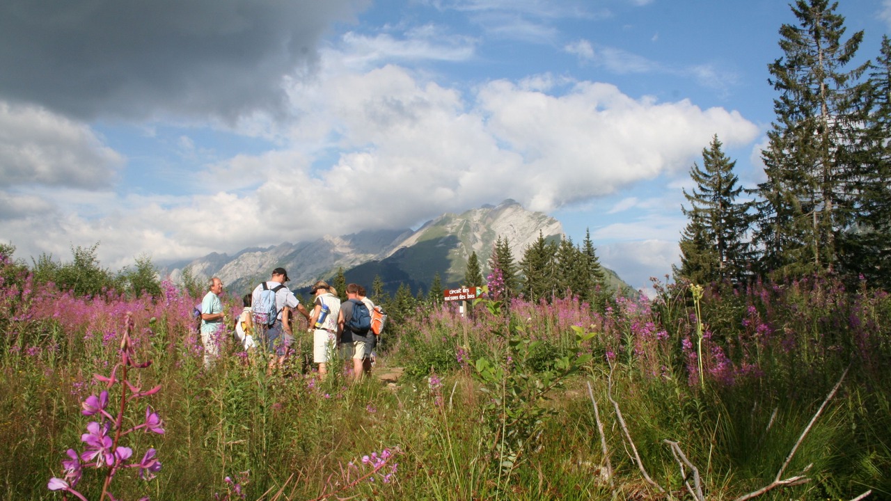 Photo of Outdoor in Menthon-Saint-Bernard
