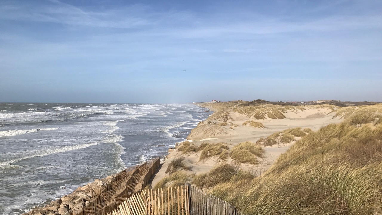 Photo of Others in Merlimont