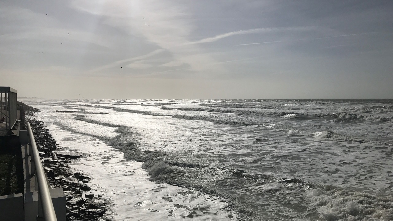 Photo of Others in Merlimont