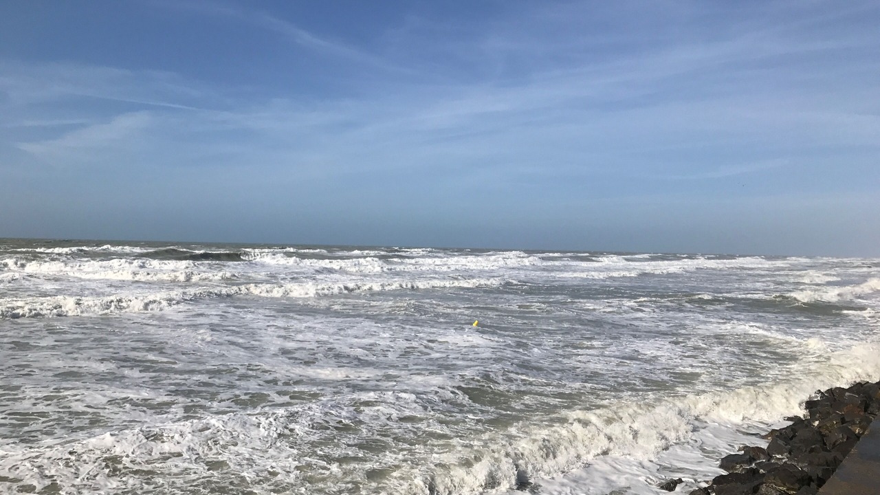 Photo of Others in Merlimont