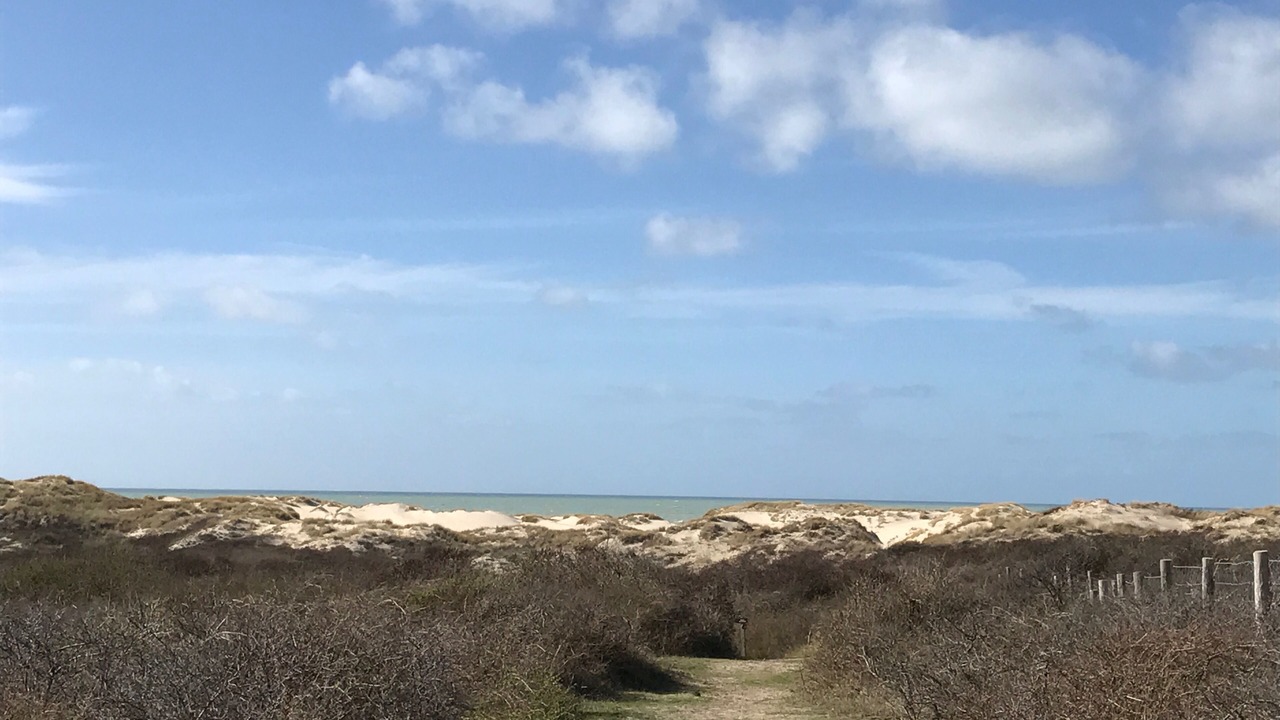 Photo of Others in Merlimont