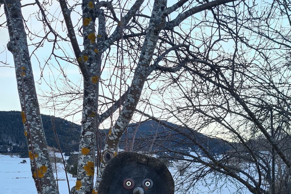 Photo of Outdoor in La Llagonne