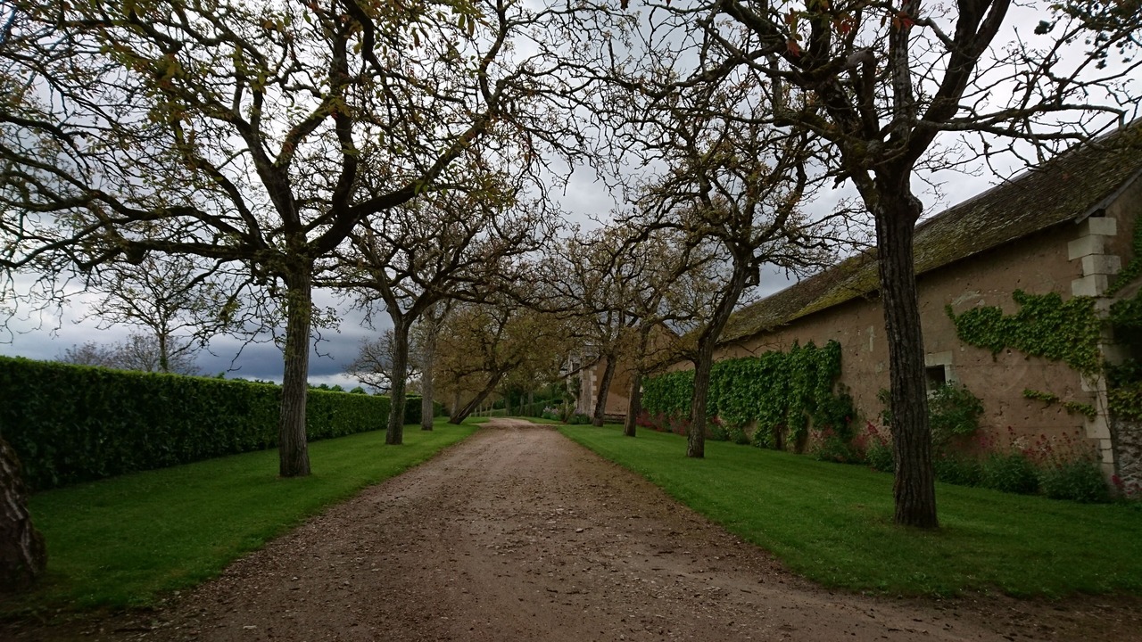 Photo of Outdoor in Le Lude