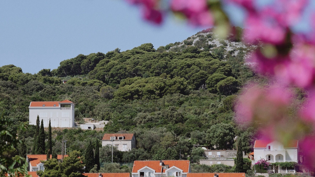 Photo of Outdoor in Kolocep Island