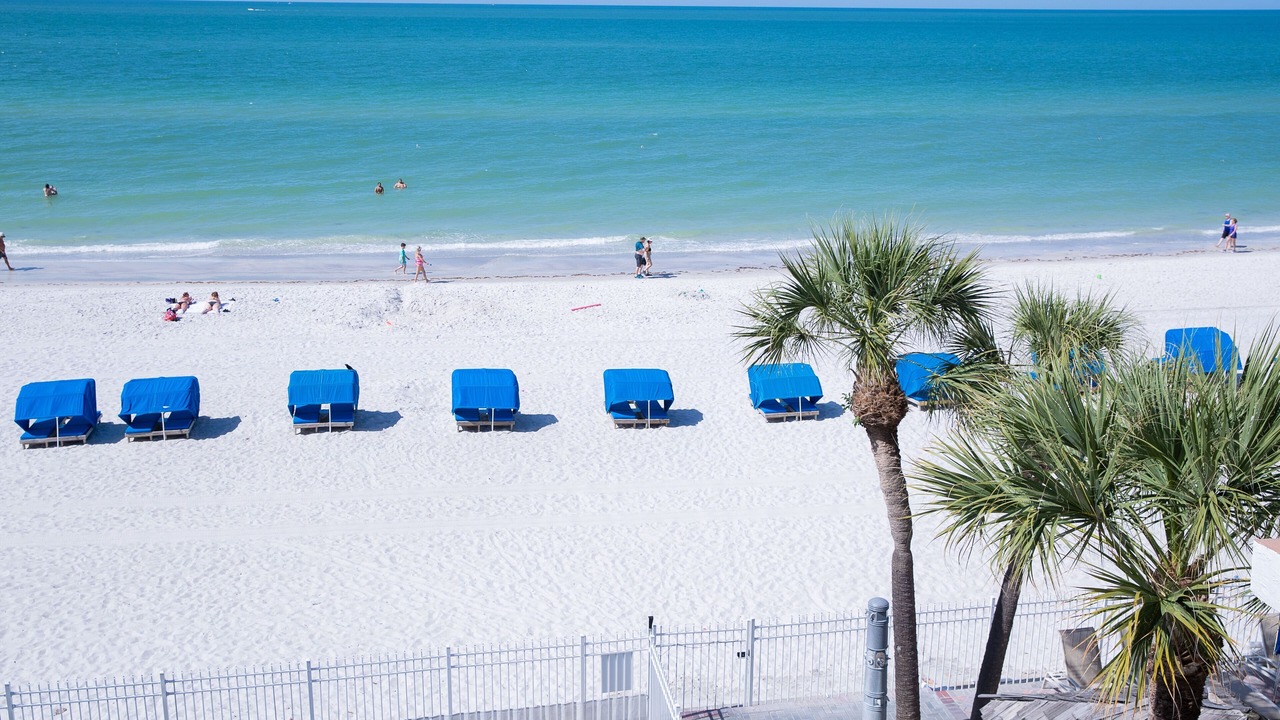 Photo of Others in Madeira Beach