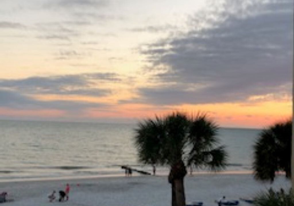 Photo of Others in Madeira Beach