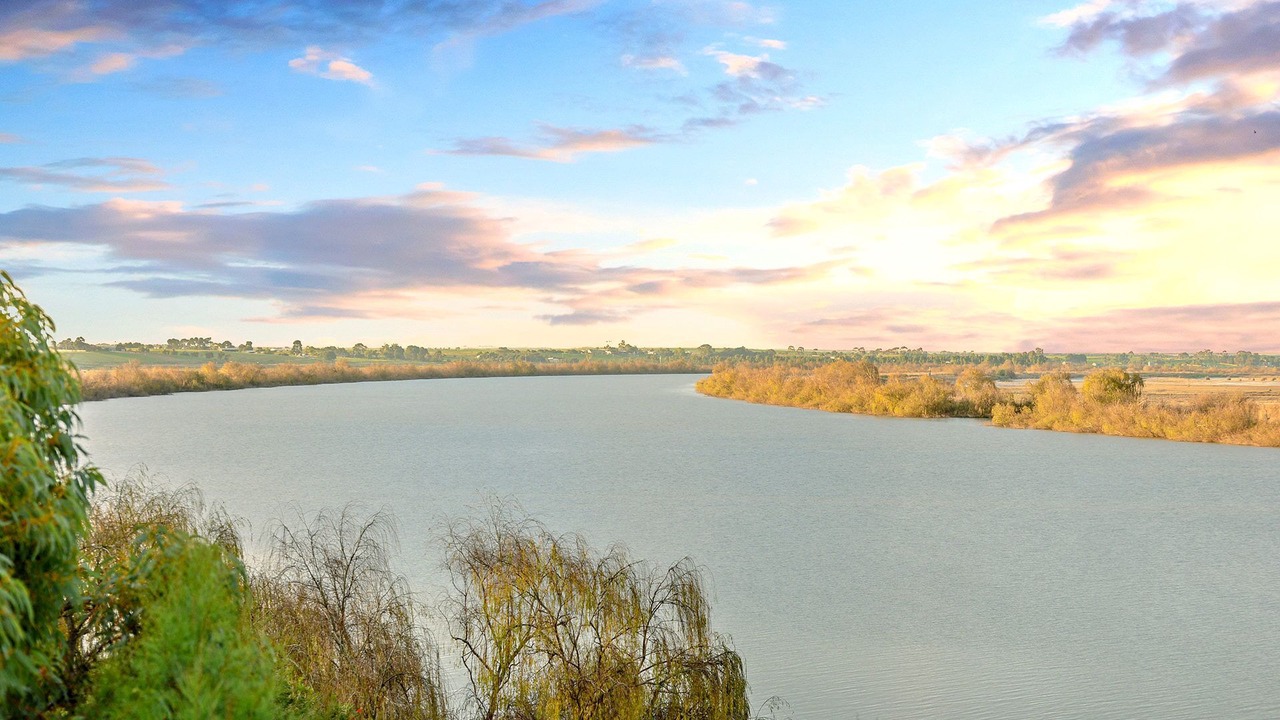 Photo of Others in Wellington