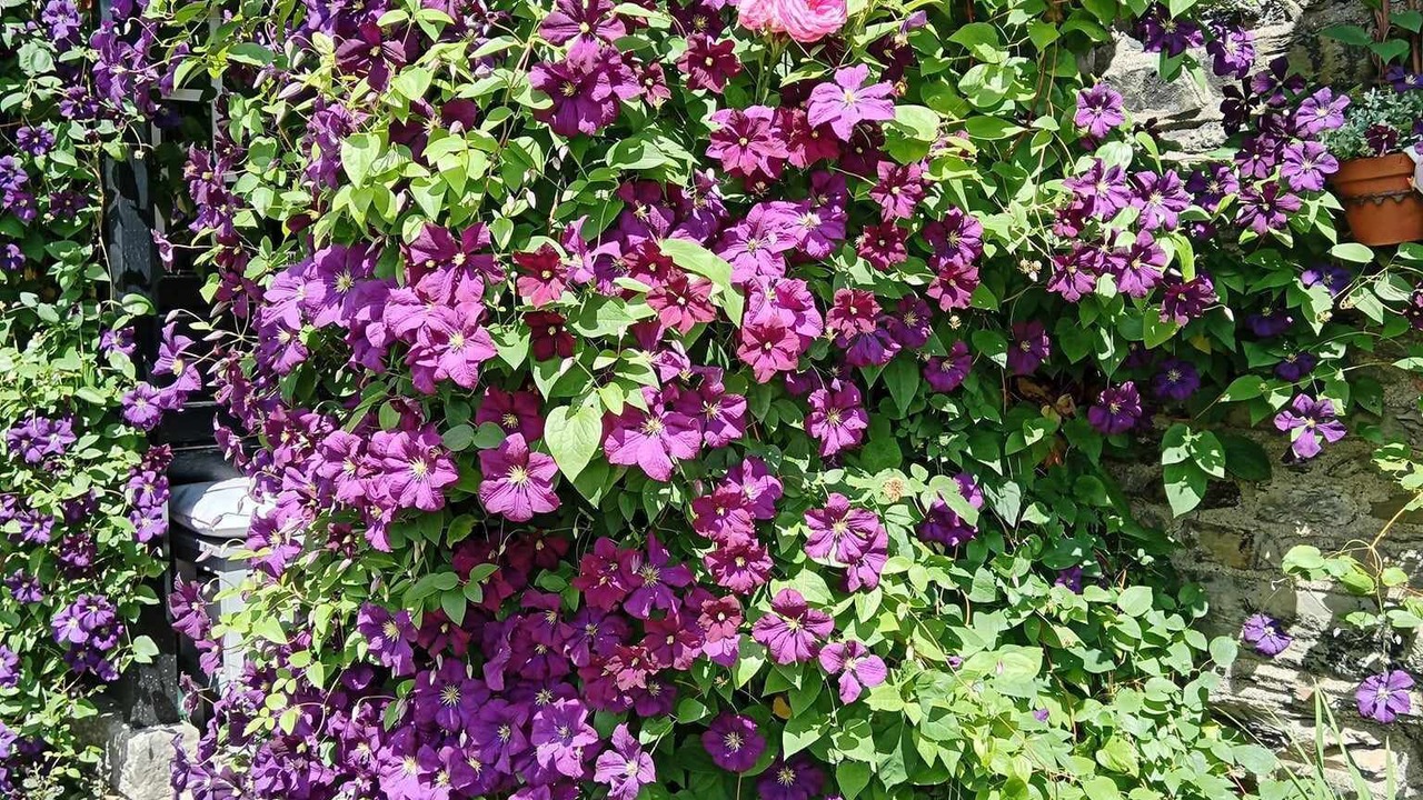 Photo of Outdoor in Bowness-on-Windermere