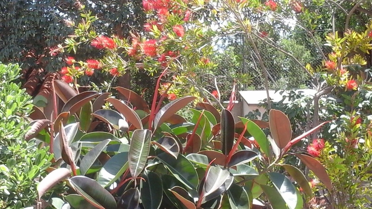Photo of Outdoor in Montroi