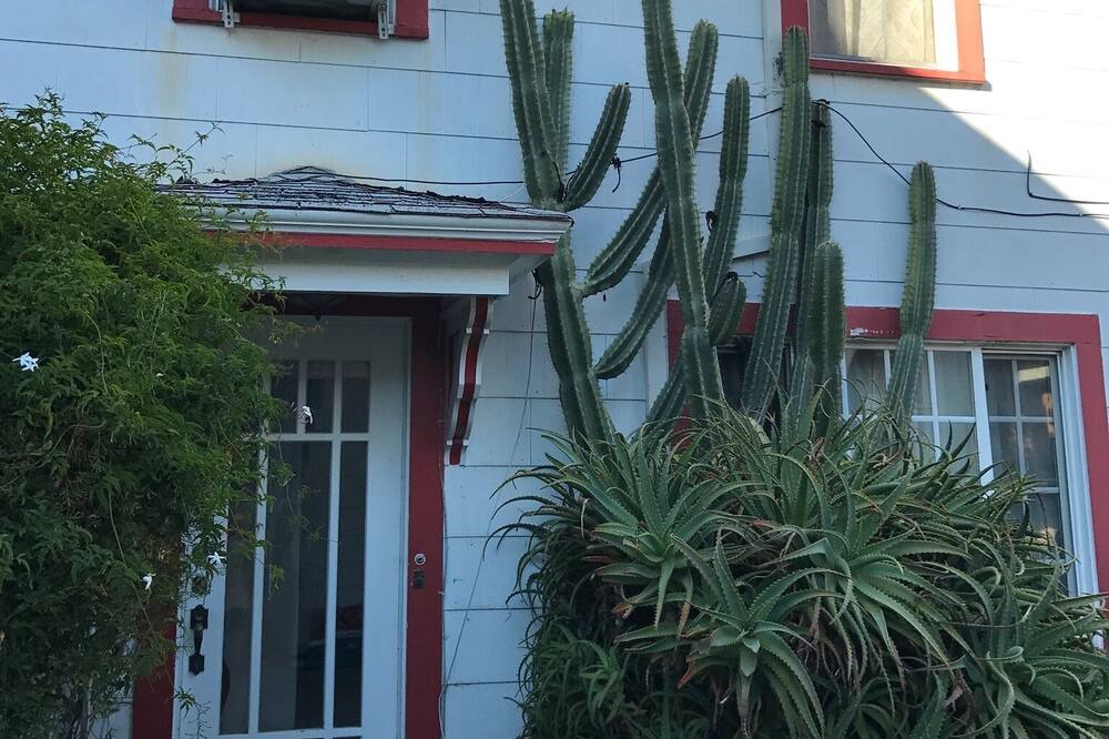 Photo of Outdoor in North Berkeley