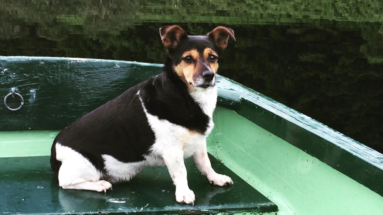 Photo of Others in Slate Islands