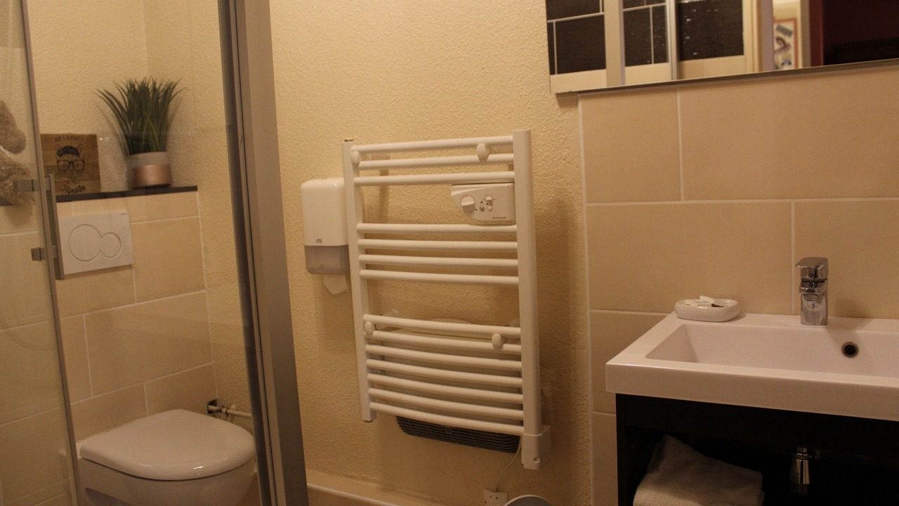Photo of Bathroom in Bellignat