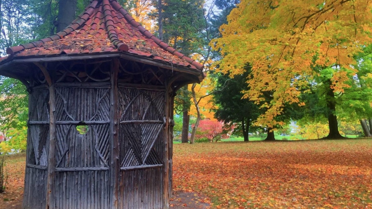 Photo of Outdoor in Oneida