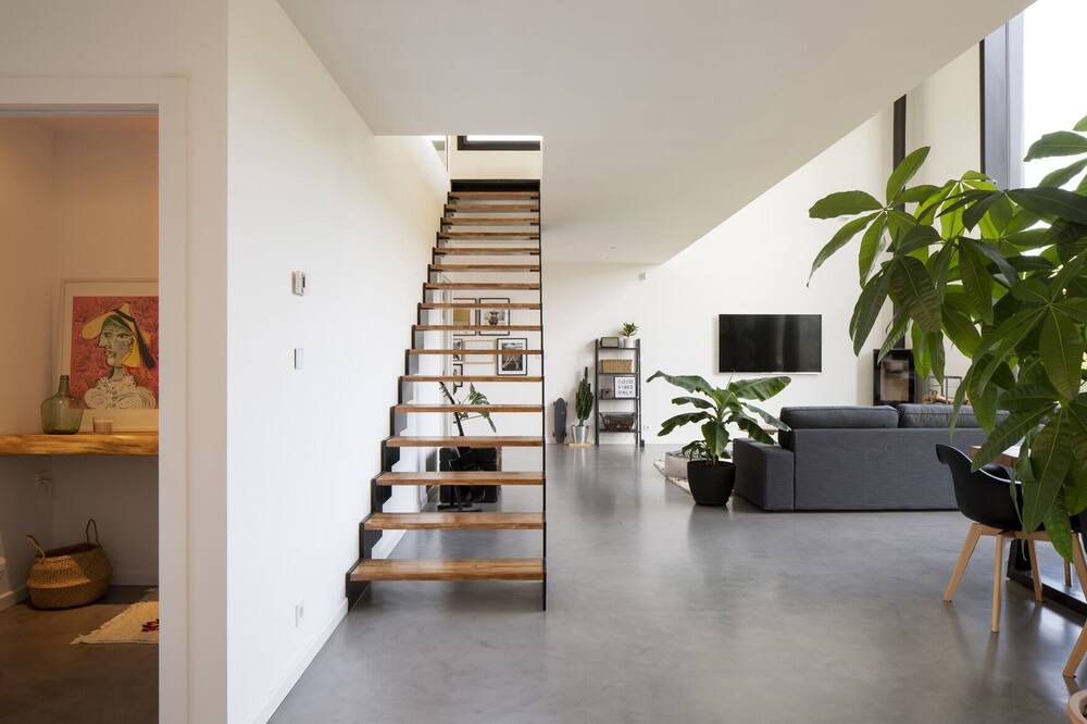 Photo of Livingroom in Mungia
