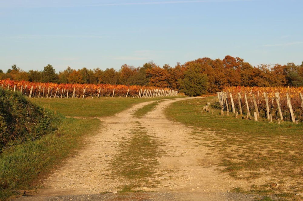 Photo of Outdoor in Meusnes