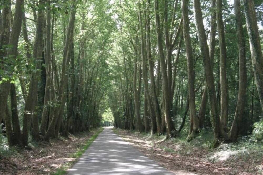 Photo of Outdoor in Meusnes