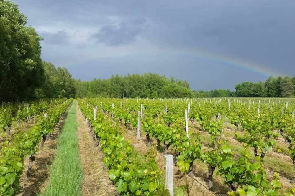 Photo of Outdoor in Meusnes