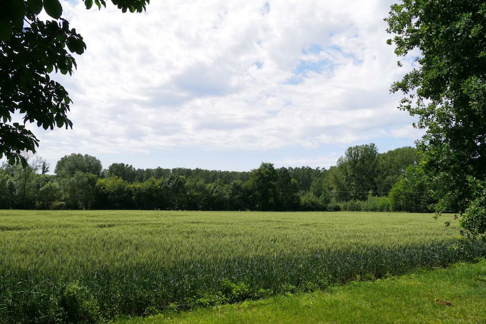 Photo of Outdoor in Meusnes