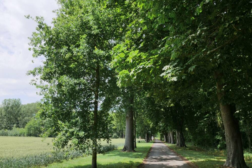 Photo of Outdoor in Meusnes