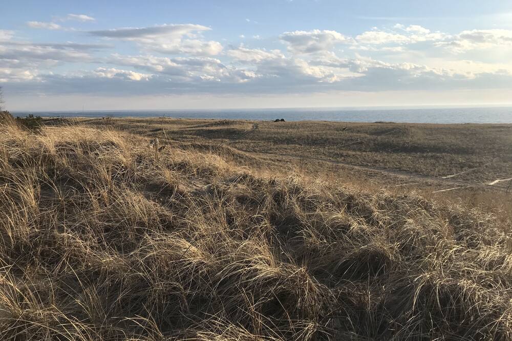 Photo of Others in Port Sheldon