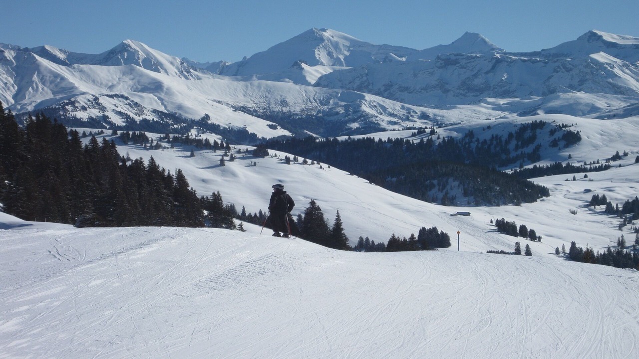 Photo of Others in Chateau-d'Oex