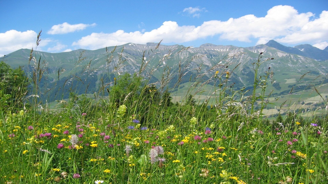 Photo of Outdoor in Chateau-d'Oex