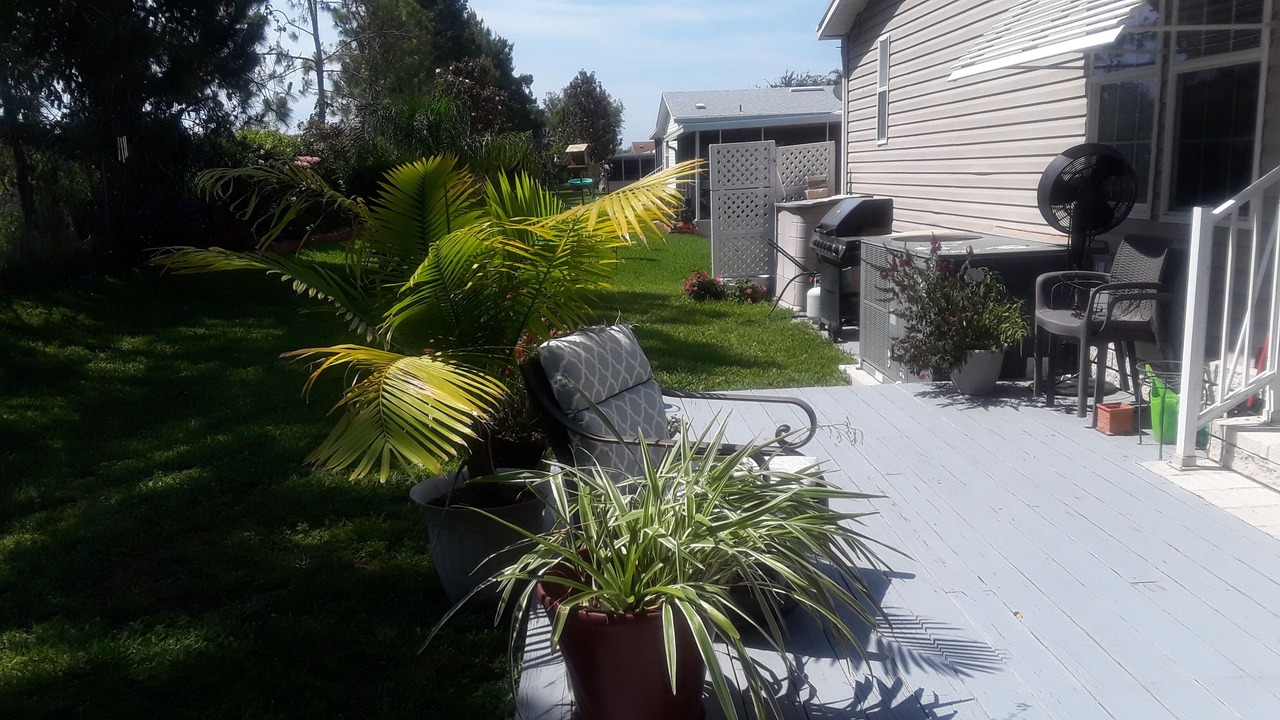 Photo of Outdoor in Lake Alfred