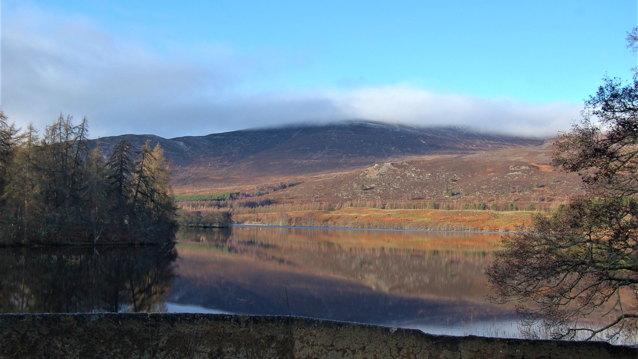 Photo of Others in Alvie