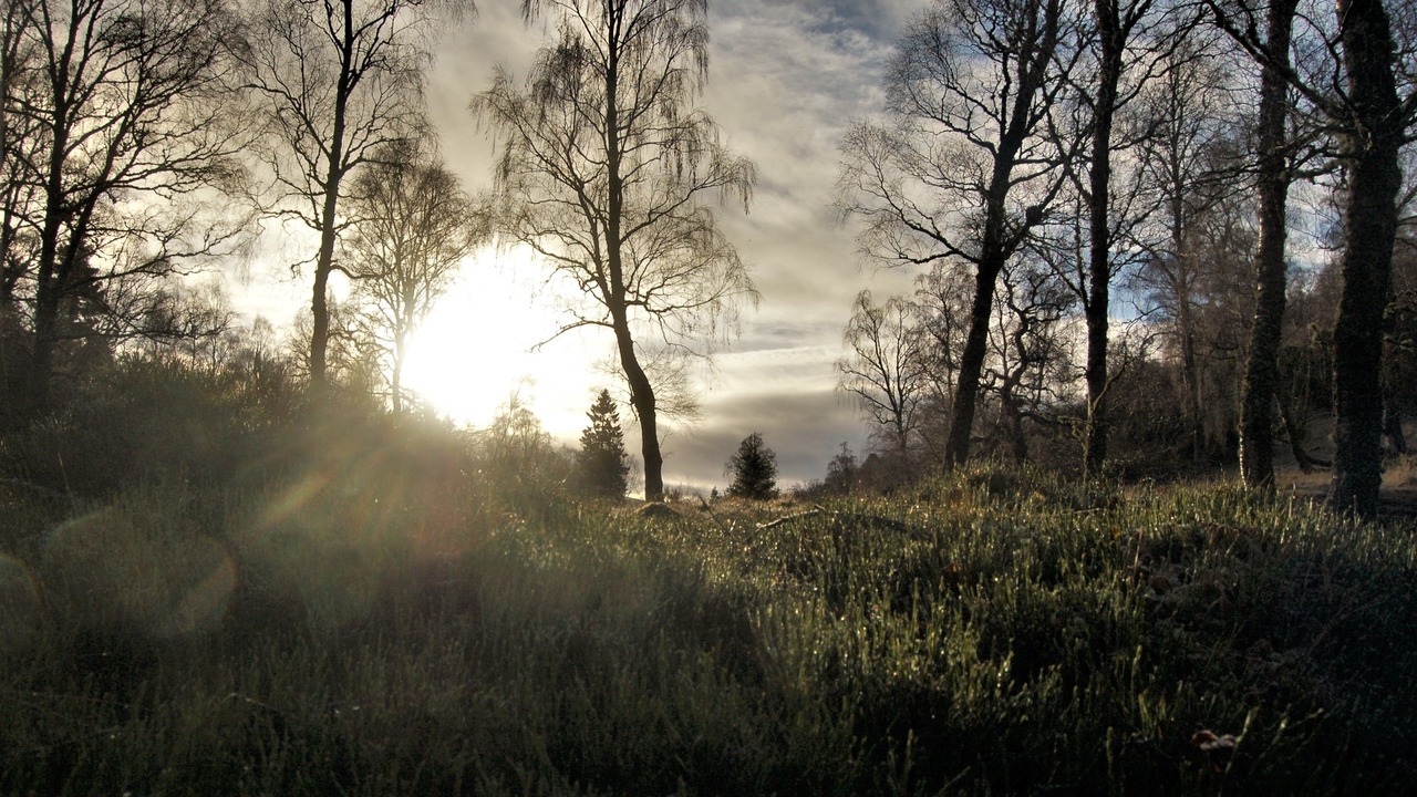 Photo of Others in Alvie