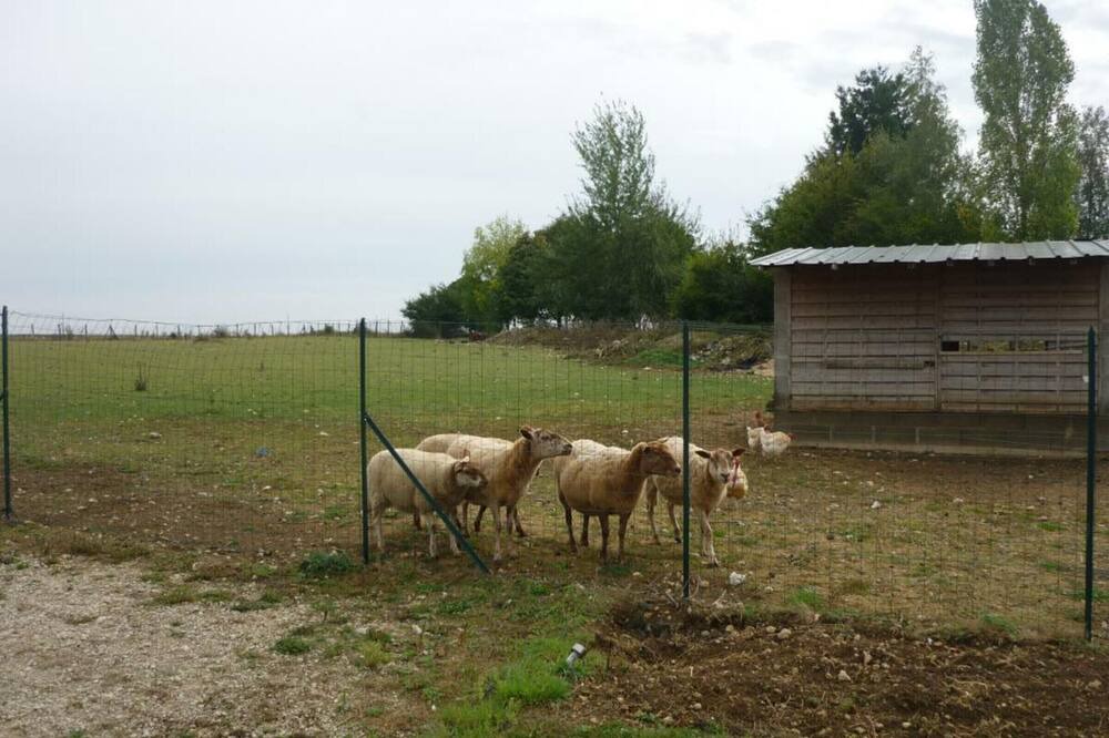Photo of Outdoor in Averdon