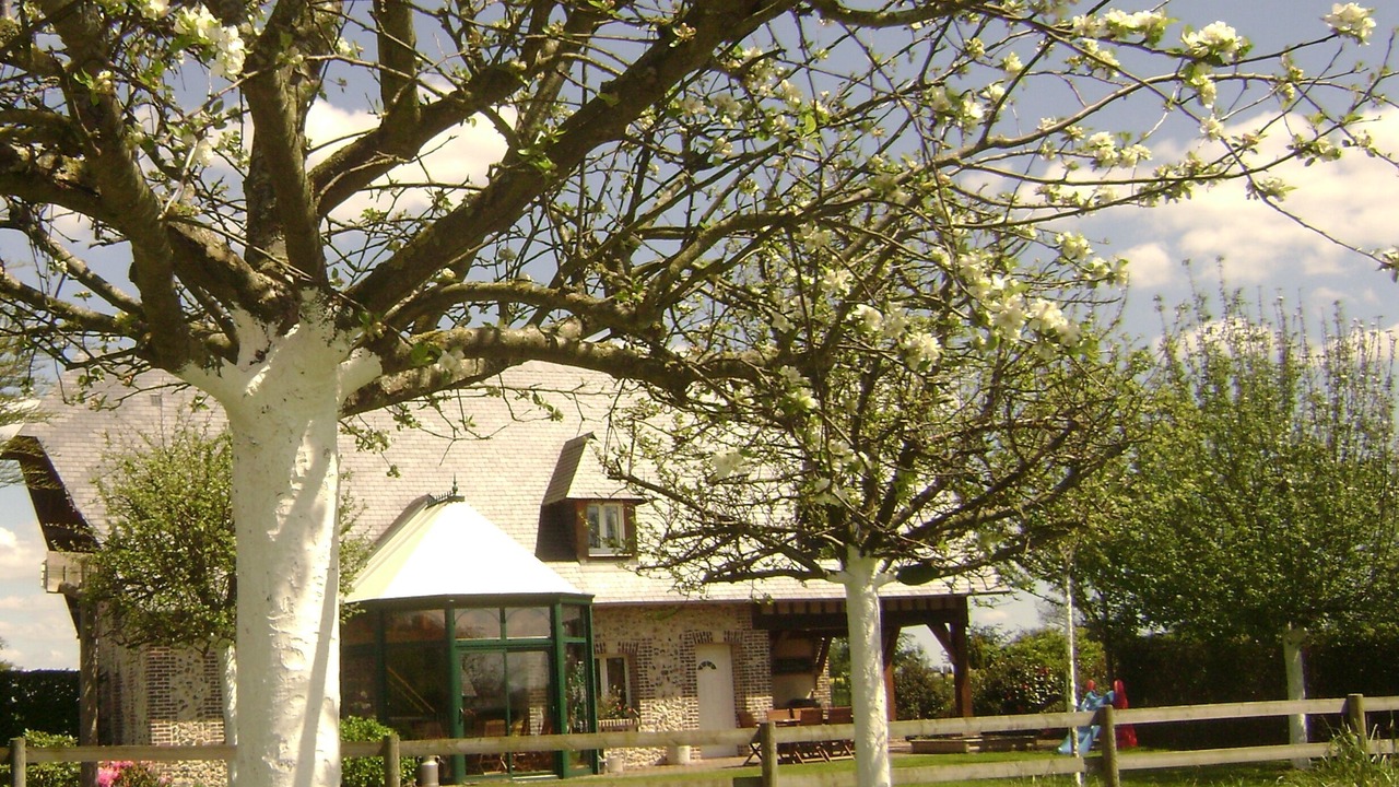 Photo of Outdoor in Fatouville-Grestain