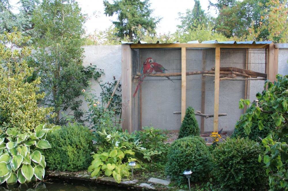 Photo of Outdoor in Thoury