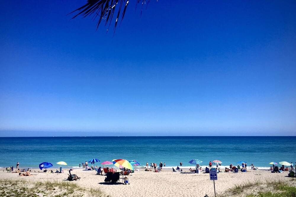 Photo of Others in Juno Beach