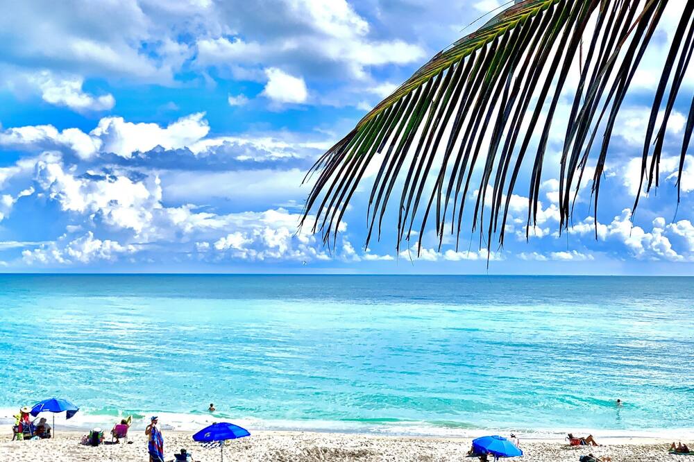Photo of Others in Juno Beach