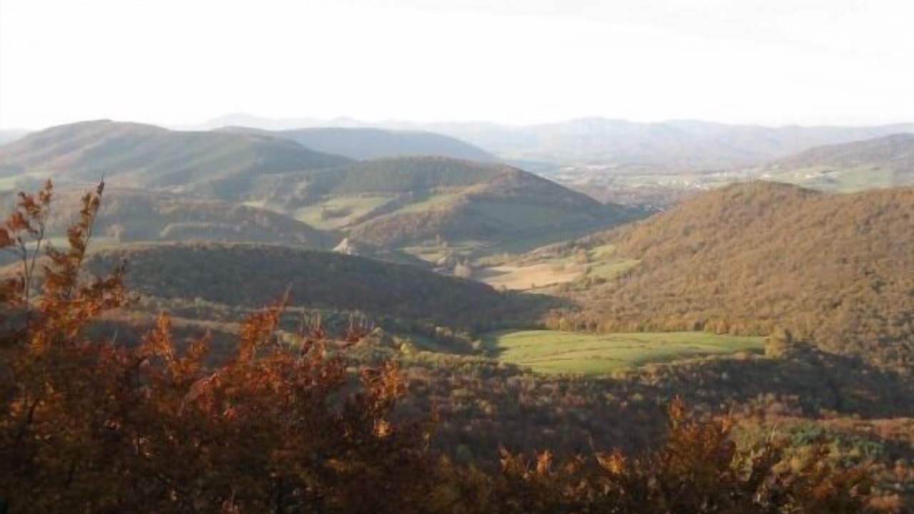 Photo of Others in Ciaurriz