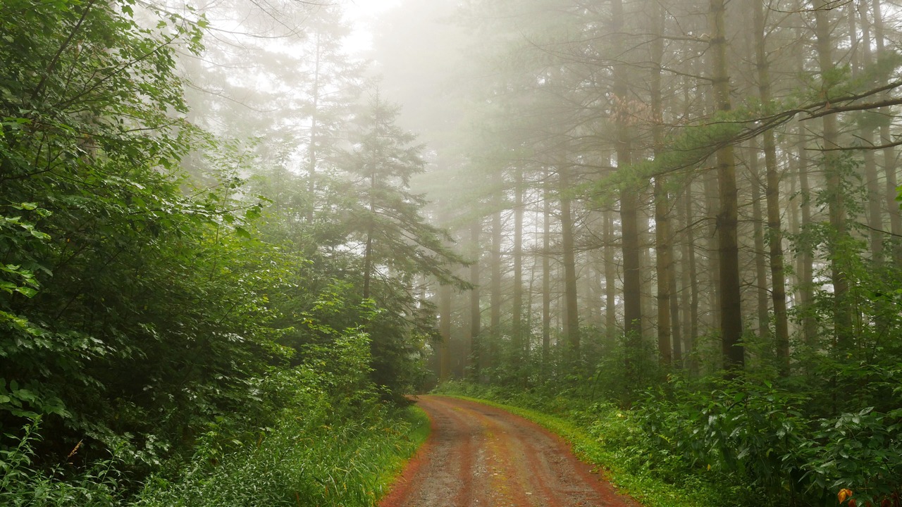 Photo of Outdoor in Morrisville