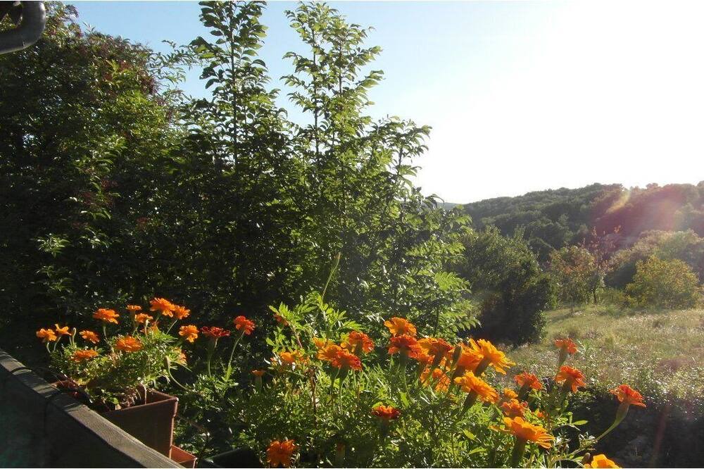 Photo of Outdoor in Vaour