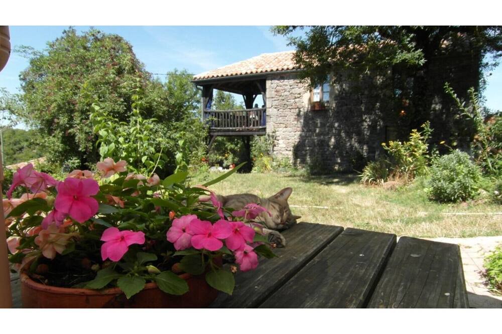 Photo of Outdoor in Vaour