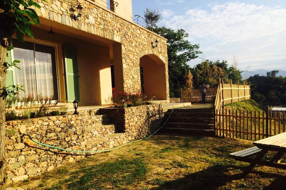 Photo of Others in Patrimonio