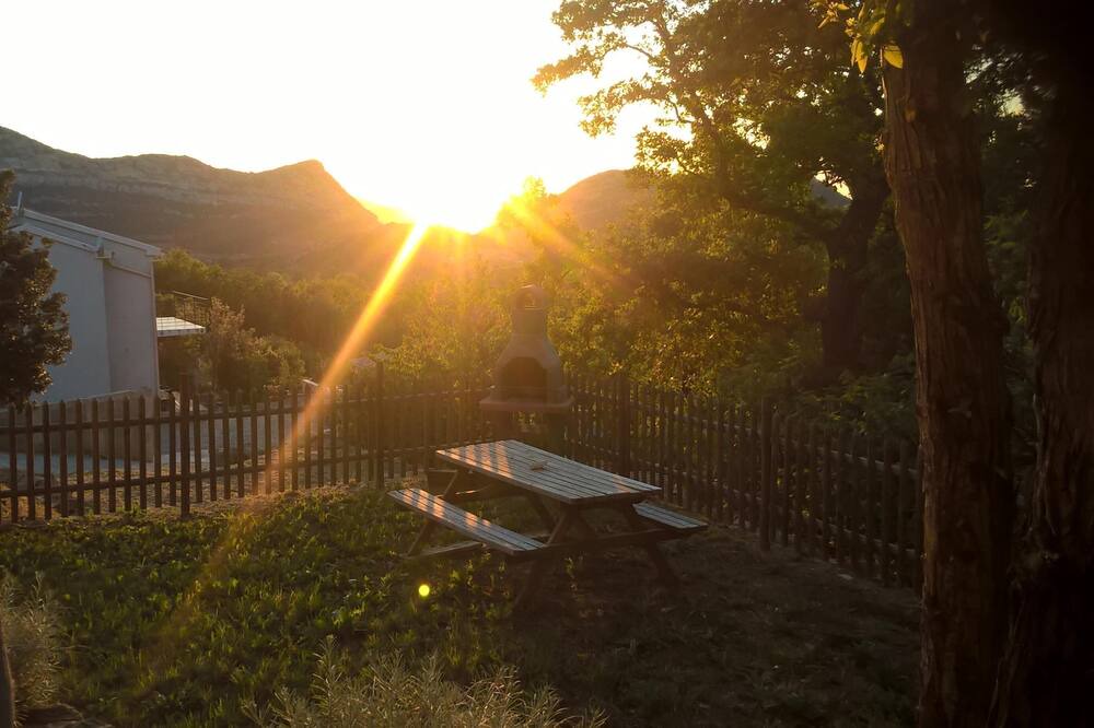 Photo of Outdoor in Patrimonio