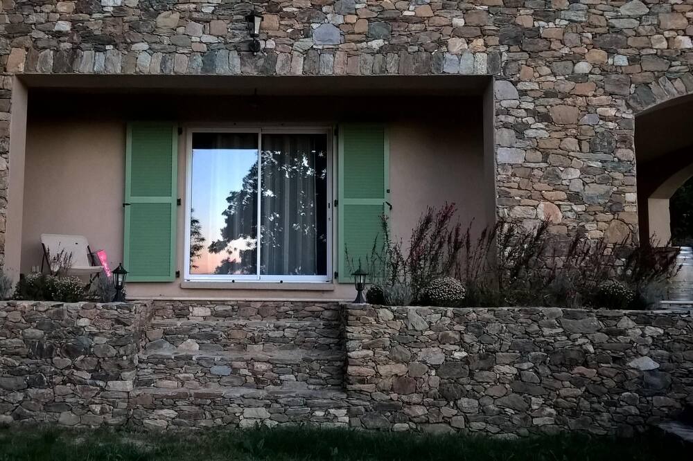 Photo of Others in Patrimonio