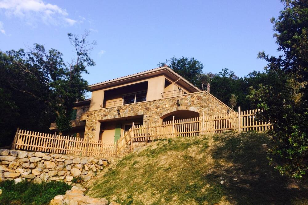 Photo of Outdoor in Patrimonio