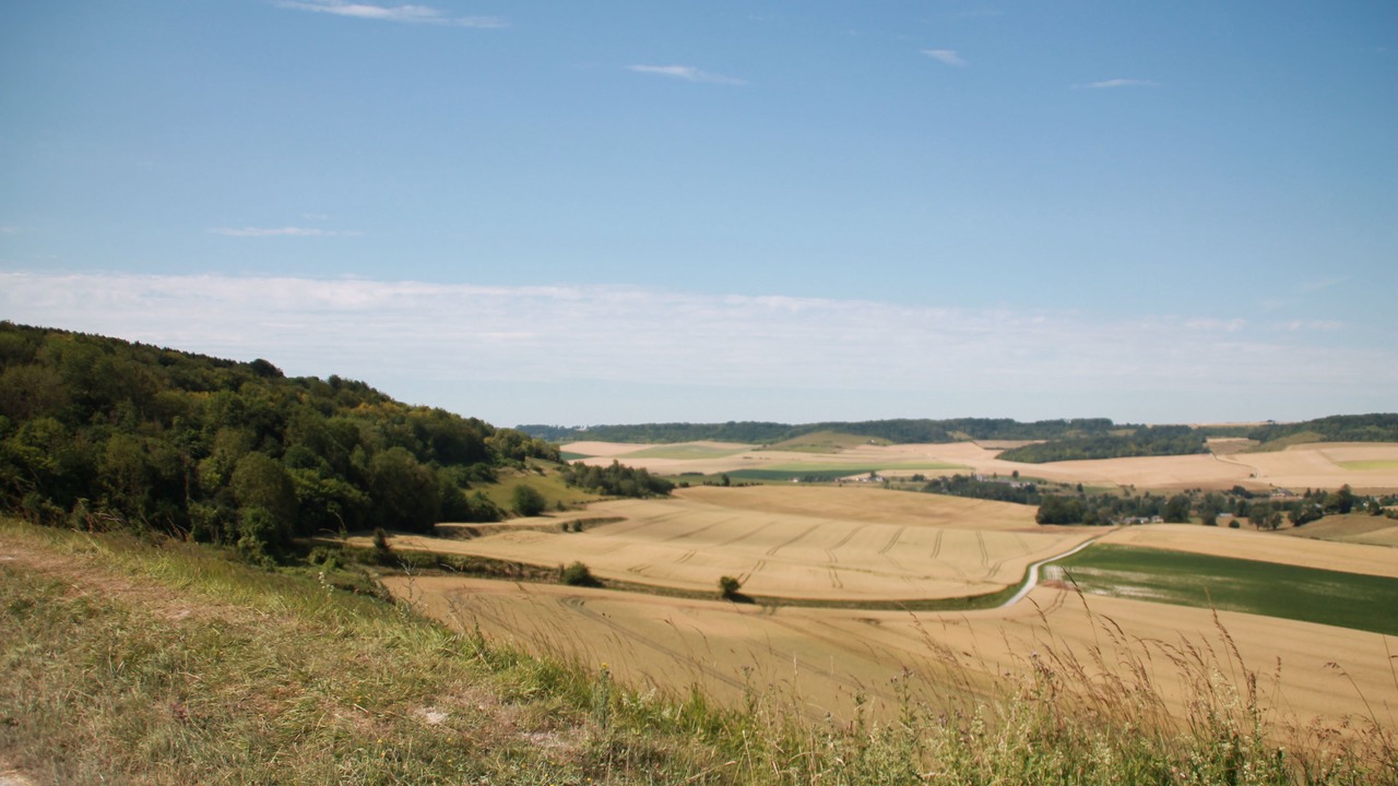 Photo of Others in Mesnil-Follemprise