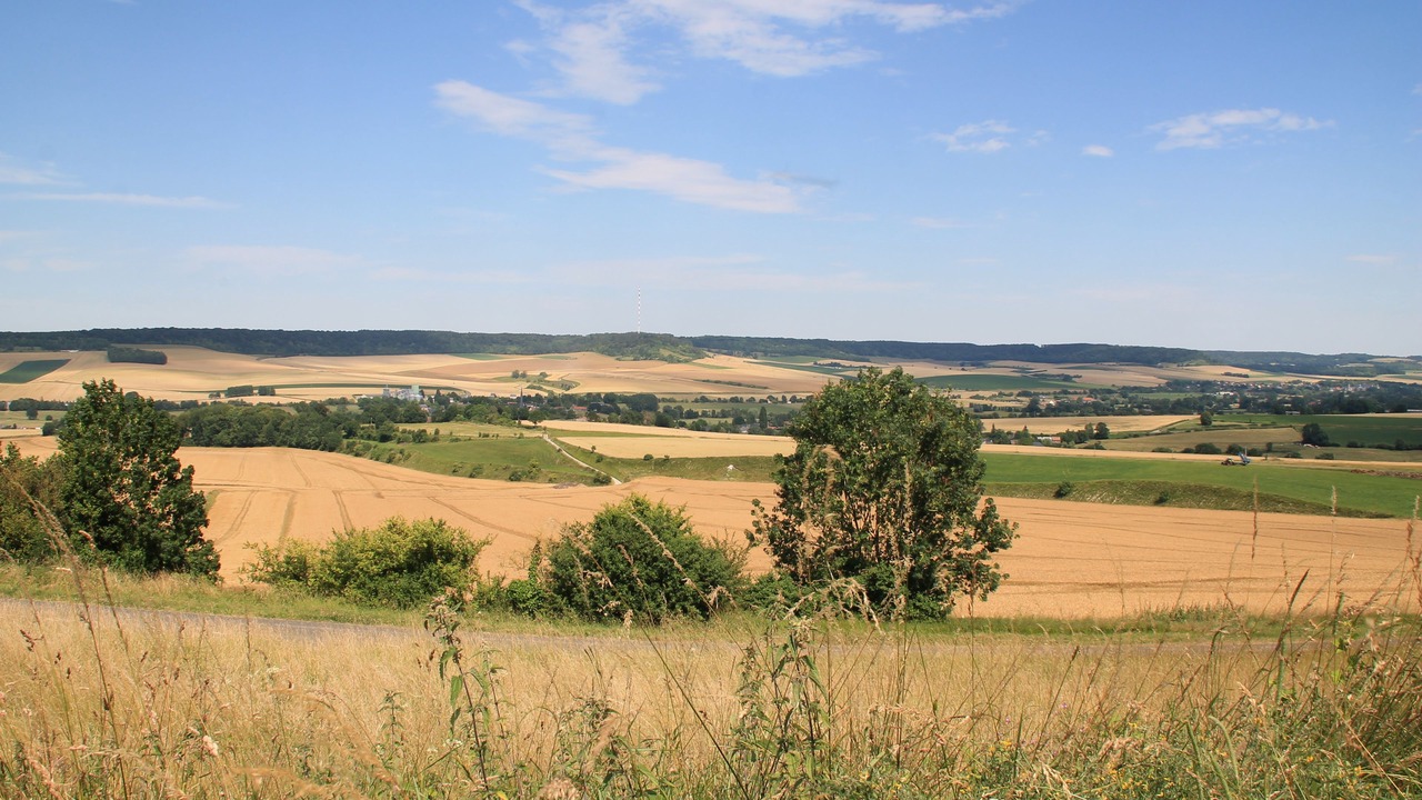 Photo of Others in Mesnil-Follemprise