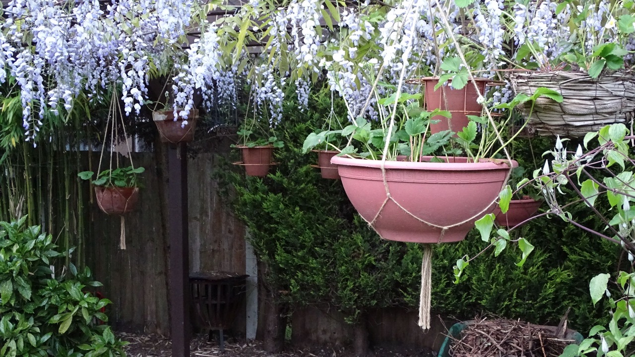 Photo of Outdoor in Newcastle-Under-Lyme