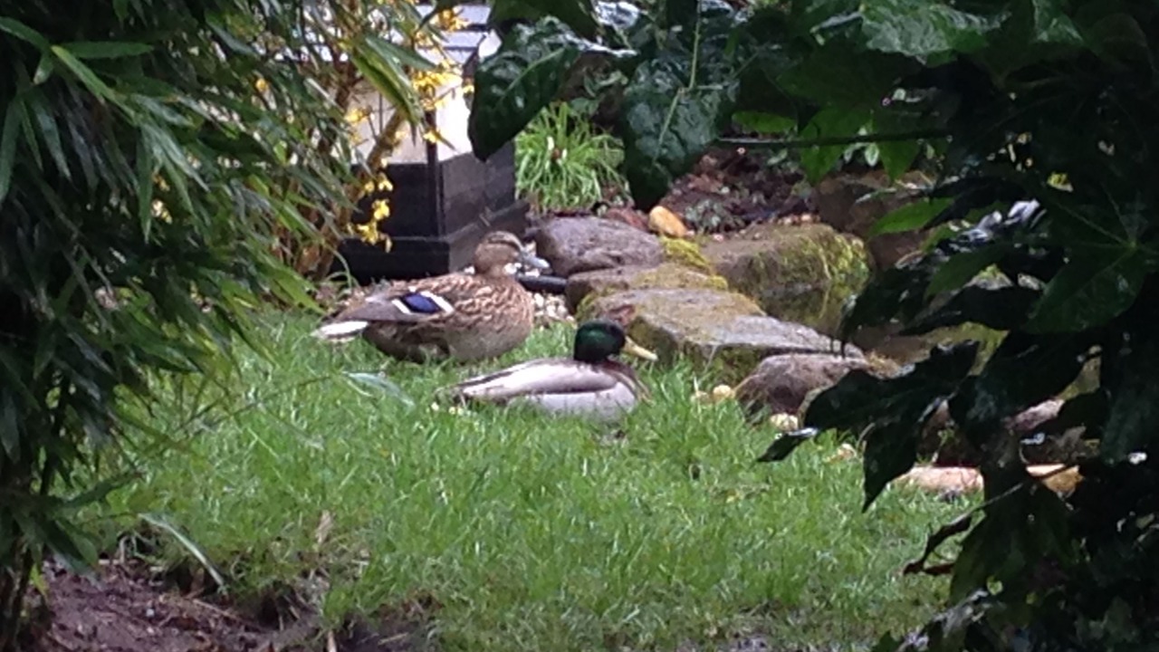 Photo of Bedroom in Newcastle-Under-Lyme