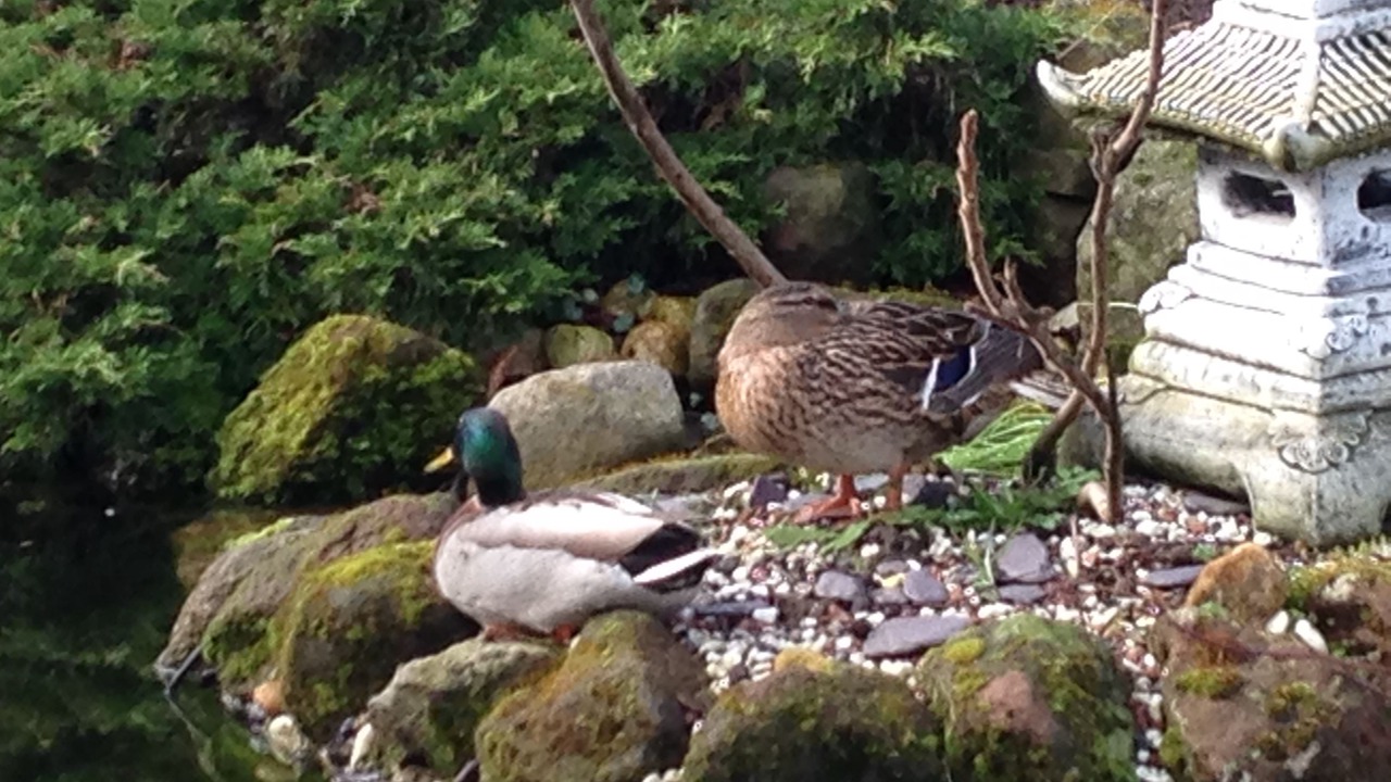 Photo of Outdoor in Newcastle-Under-Lyme