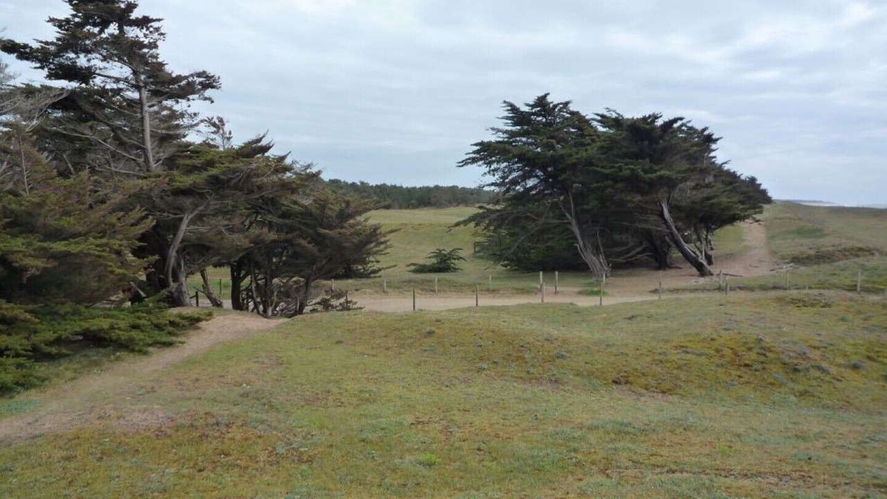 Photo of Outdoor in La Barre-de-Monts